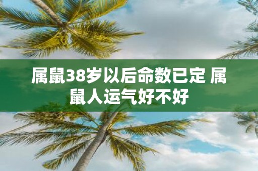 属鼠38岁以后命数已定 属鼠人运气好不好