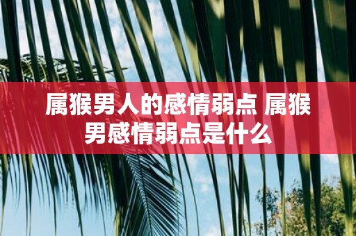 属猴男人的感情弱点 属猴男感情弱点是什么