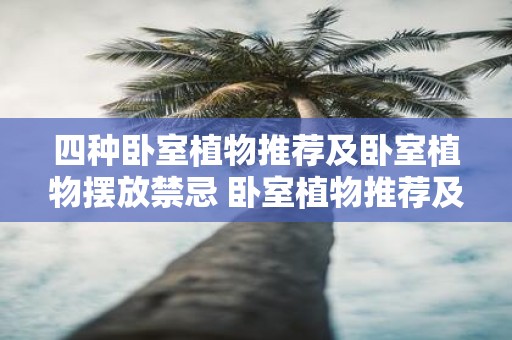 四种卧室植物推荐及卧室植物摆放禁忌 卧室植物推荐及禁忌如何 四种卧室植物推荐及卧室植物摆放禁忌 卧室植物推荐及禁忌如何