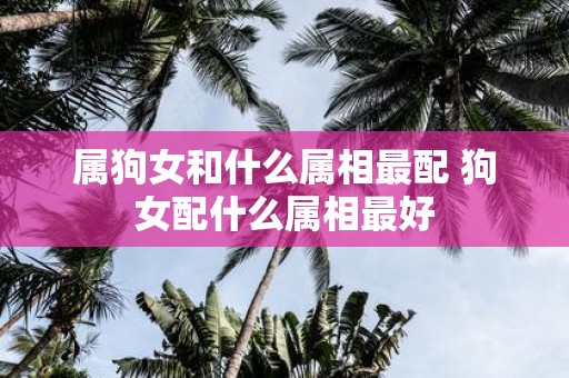 属狗女和什么属相最配 狗女配什么属相最好