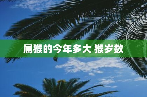 属猴的今年多大 猴岁数