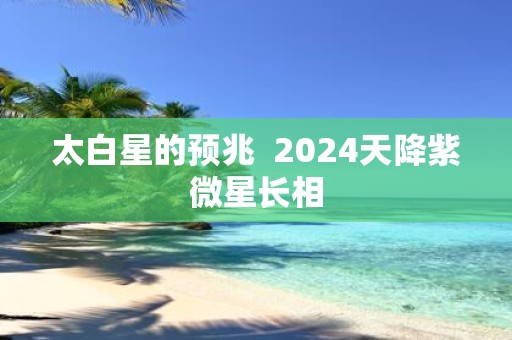 太白星的预兆 2025天降紫微星长相