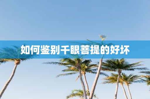 如何鉴别千眼菩提的好坏