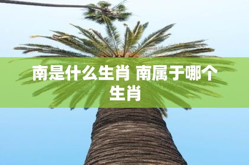 南是什么生肖 南属于哪个生肖