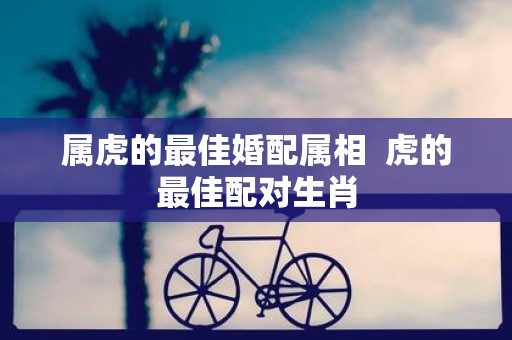 属虎的最佳婚配属相  虎的最佳配对生肖