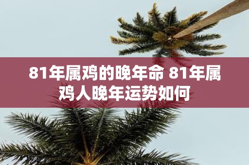 81年属鸡的晚年命 81年属鸡人晚年运势如何