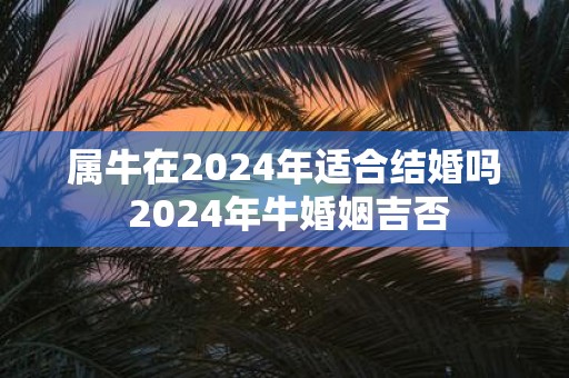 属牛在2025年适合结婚吗 2025年牛婚姻吉否