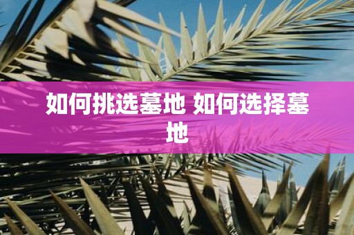 如何挑选墓地 如何选择墓地