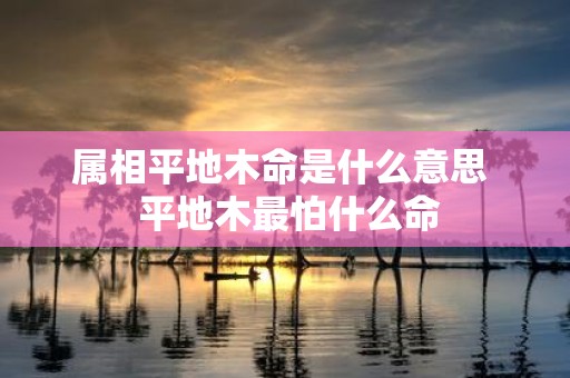 属相平地木命是什么意思 平地木最怕什么命