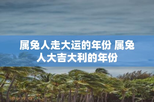 属兔人走大运的年份 属兔人大吉大利的年份