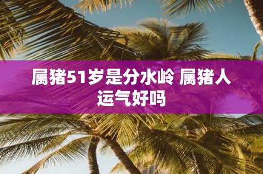 属猪51岁是分水岭 属猪人运气好吗