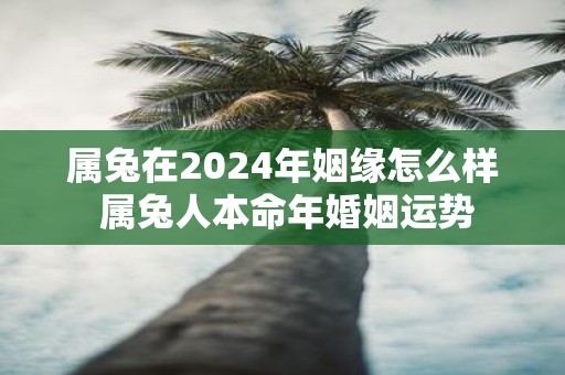属兔在2025年姻缘怎么样 属兔人本命年婚姻运势