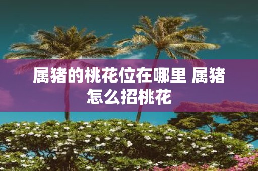 属猪的桃花位在哪里 属猪怎么招桃花