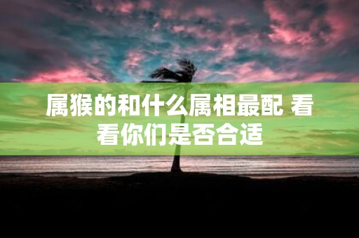 属猴的和什么属相最配 看看你们是否合适