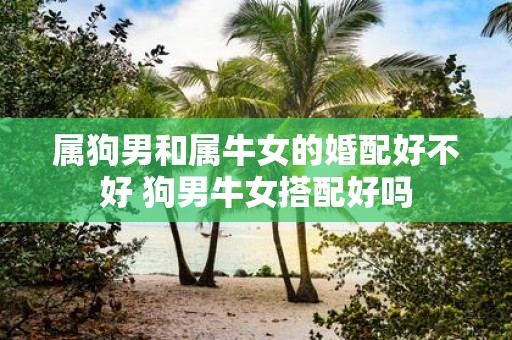 属狗男和属牛女的婚配好不好 狗男牛女搭配好吗