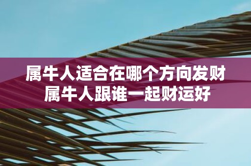 属牛人适合在哪个方向发财 属牛人跟谁一起财运好