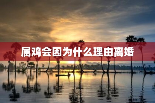 属鸡会因为什么理由离婚