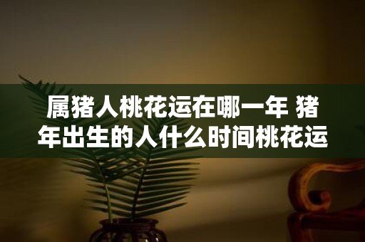 属猪人桃花运在哪一年 猪年出生的人什么时间桃花运最好