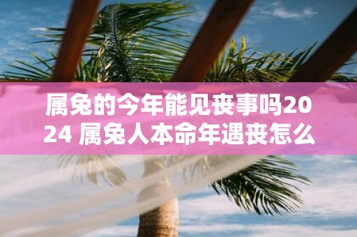 属兔的今年能见丧事吗2025 属兔人本命年遇丧怎么办