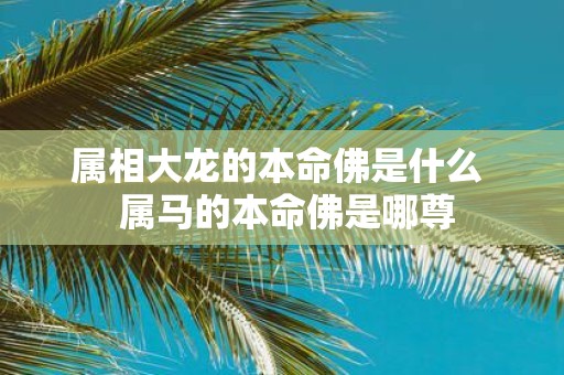 属相大龙的本命佛是什么 属马的本命佛是哪尊