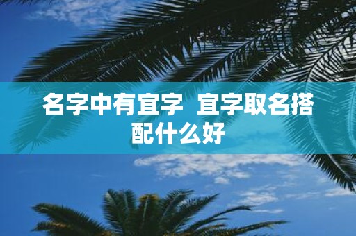 名字中有宜字 宜字取名搭配什么好