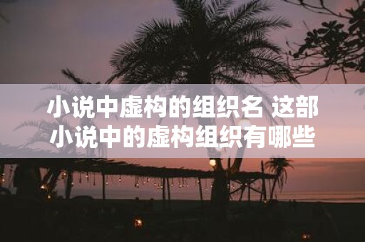 小说中虚构的组织名 这部小说中的虚构组织有哪些