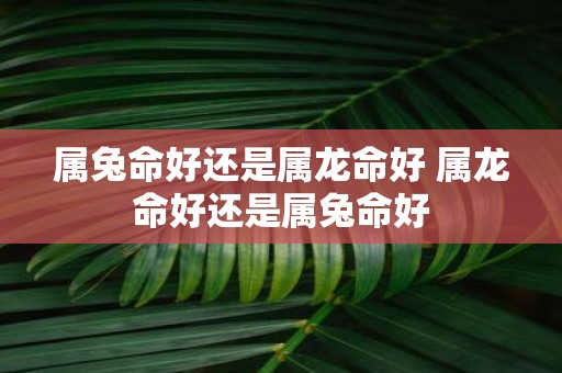 属兔命好还是属龙命好 属龙命好还是属兔命好