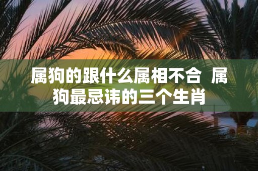 属狗的跟什么属相不合 属狗最忌讳的三个生肖