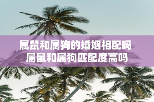 属鼠和属狗的婚姻相配吗 属鼠和属狗匹配度高吗