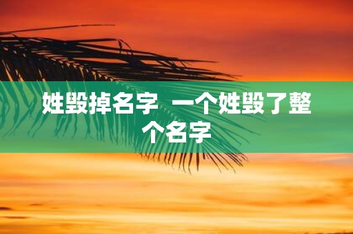 姓毁掉名字 一个姓毁了整个名字