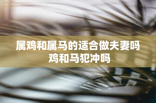 属鸡和属马的适合做夫妻吗 鸡和马犯冲吗