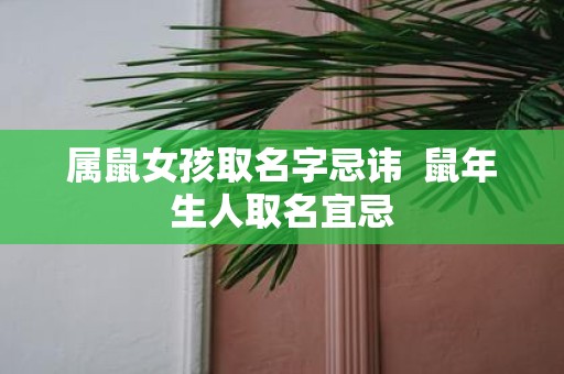 属鼠女孩取名字忌讳 鼠年生人取名宜忌