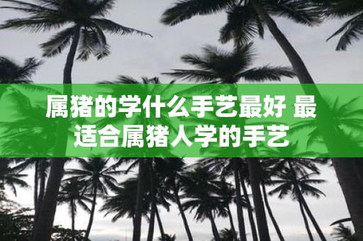 属猪的学什么手艺最好 最适合属猪人学的手艺