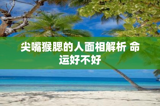 尖嘴猴腮的人面相解析 命运好不好