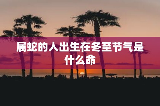 属蛇的人出生在冬至节气是什么命