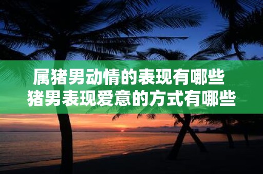 属猪男动情的表现有哪些 猪男表现爱意的方式有哪些