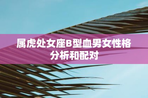属虎处女座B型血男女性格分析和配对
