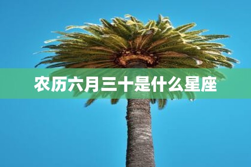农历六月三十是什么星座