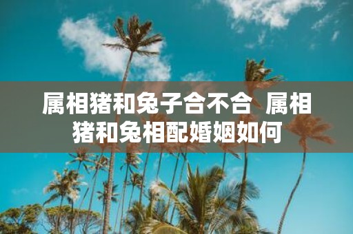 属相猪和兔子合不合 属相猪和兔相配婚姻如何
