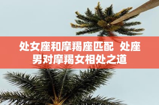 处女座和摩羯座匹配 处座男对摩羯女相处之道