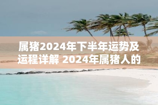 属猪2025年下半年运势及运程详解 2025年属猪人的全年每月运势