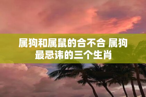 属狗和属鼠的合不合 属狗最忌讳的三个生肖