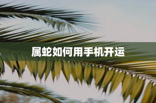 属蛇如何用手机开运