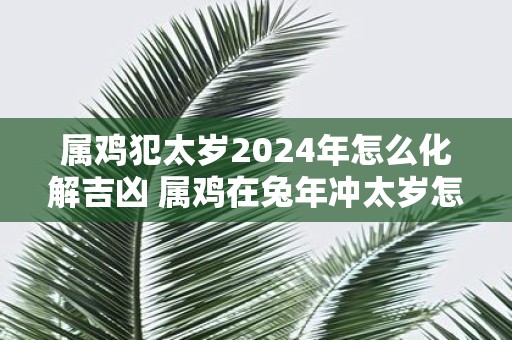 属鸡犯太岁2025年怎么化解吉凶 属鸡在蛇年冲太岁怎么办