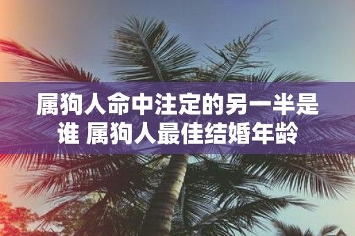 属狗人命中注定的另一半是谁 属狗人最佳结婚年龄