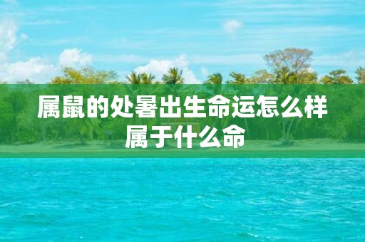 属鼠的处暑出生命运怎么样 属于什么命