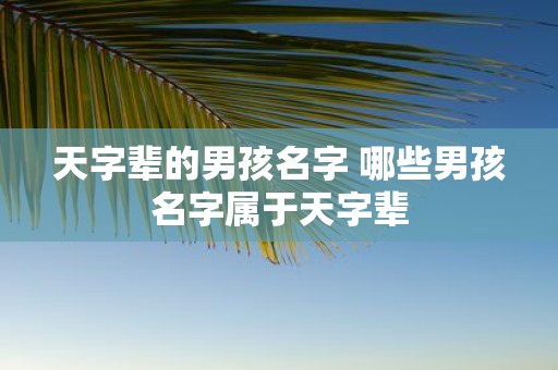 天字辈的男孩名字 哪些男孩名字属于天字辈