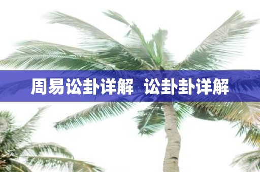 周易讼卦详解 讼卦卦详解