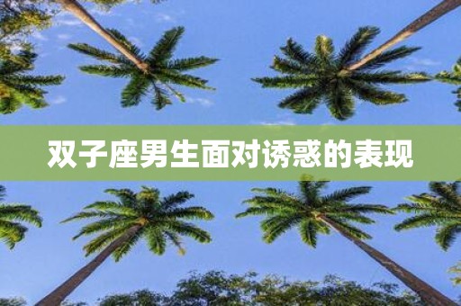 双子座男生面对诱惑的表现