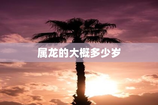 属龙的大概多少岁